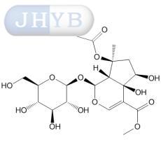 Phlorigidoside B