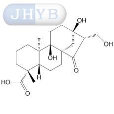 Pterisolic acid F