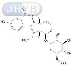 6-O-ǻҶɺ