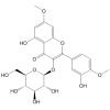 Yixingensin