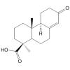 13-Oxopodocarp-8(14)-en-18-oic acid