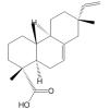 Isopimaric acid