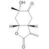 Paeonilactone B