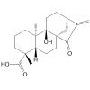 ent-9-Hydroxy-15-oxokaur-16-en-19-oic acid