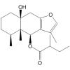 10-ǿ߻૲-6-yl-2-׻