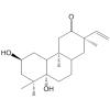 Isoanomallotusin