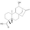 12-Hydroxygrandiflorenic acid