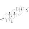 21H-24-Norhopa-4(23),22(29)-diene-3,6-diol