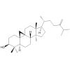 24-Methylenecycloartan-3-ol