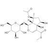 Phlorigidoside B