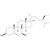 Schleicheol 1