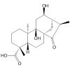 Pterisolic acid E