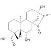 Pterisolic acid A