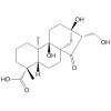 Pterisolic acid F