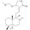 Isocoronarin D methylthiomethyl ether