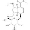 6-Ethoxygeniposide