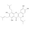 Artoheterophyllin B