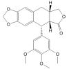 Deoxypodophyllotoxin