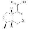 1,6,8-Trideoxyshanzhigenin