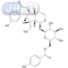 6'-O-ǻ߰