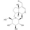 Yuheinoside