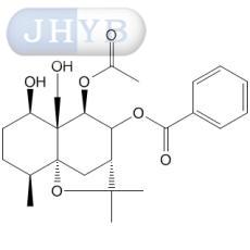 5--4-׶߻Ĵ