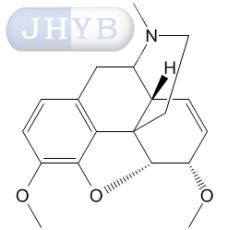 6-׻ɴ