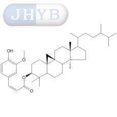 24-׻ľ鴼κ