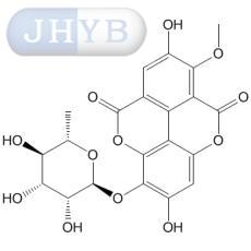 3-O-׻ûʳ-3'-O--