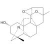 Kusnesoline