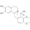 Leptopinine