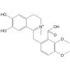 Leptopinine