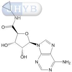 5'-(N-)