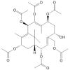 Taxa chitriene A