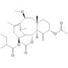 Taxa-4(20,11-diene-10-methoxy-2-diacetoxy-14£-methylbutyrate