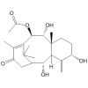 Taxezopidine D