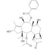 Taxumairol K