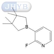 2--3-ƵǴ